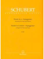 Schubert Sonata in A minor   》Arpeggione《